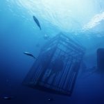 47 Meters Down Scannain Review