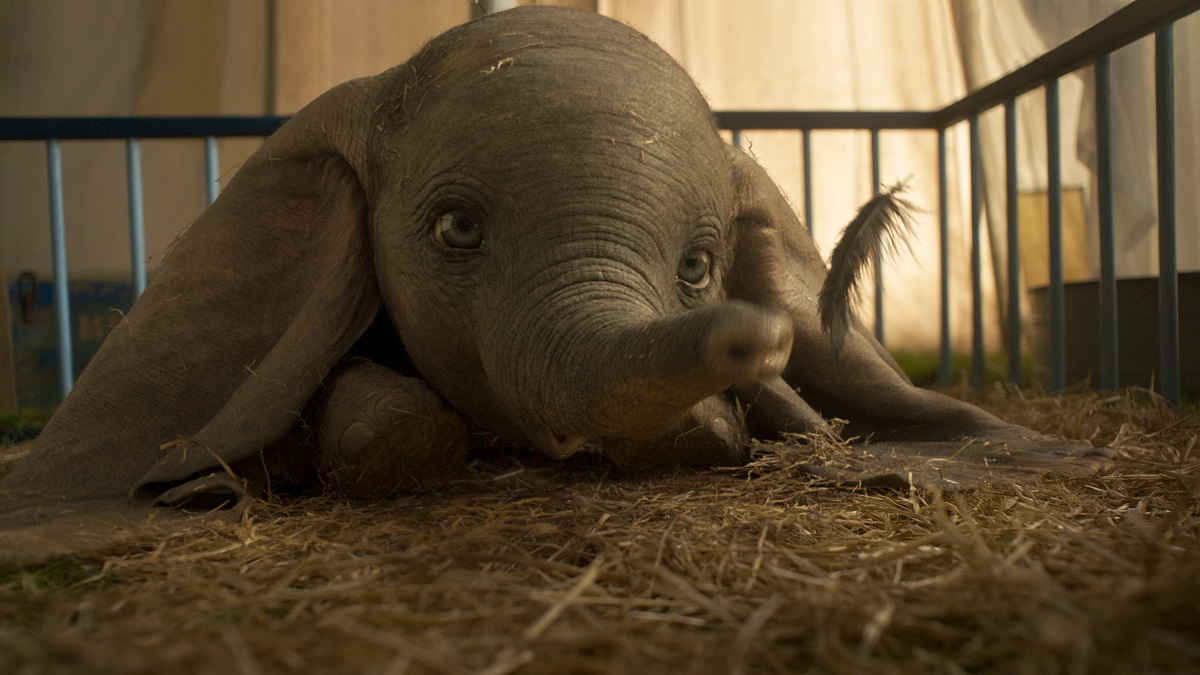 Dumbo