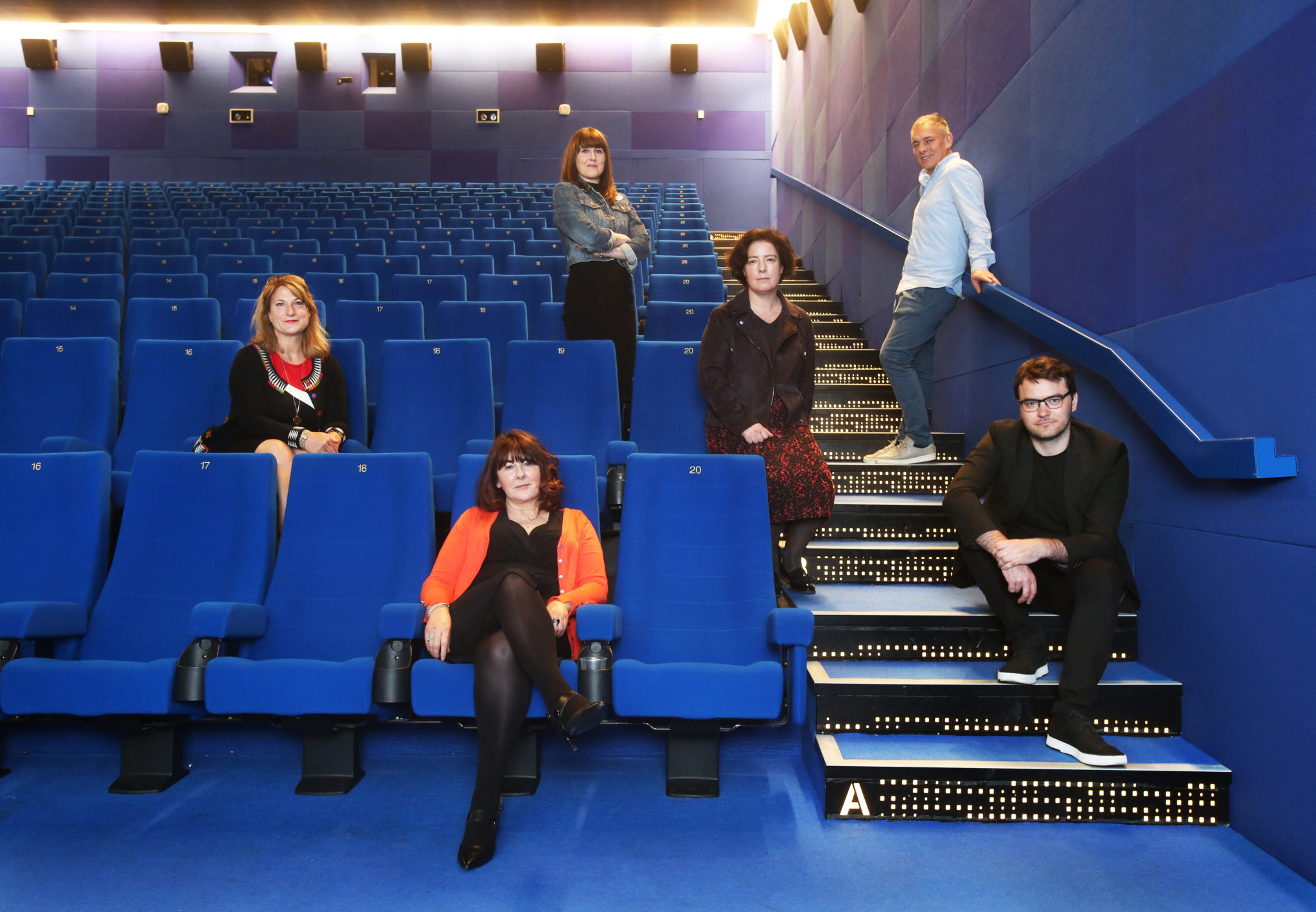 Front row; Dr. Susan Liddy, (Chair of Women in Film & Television Ireland) & Ronan O' Toole (Director Still Voices Short Film Festival) Middle row: Fiona Clark (Producer & CEO Cork Film Festival)and Gráinne Humphreys (Festival Director Dublin International Film Festival) Back row:Aoife O'Toole (Director Dublin Feminist Film Festival) AND John Rice (Co-Founder & Director Animation Dingle) 