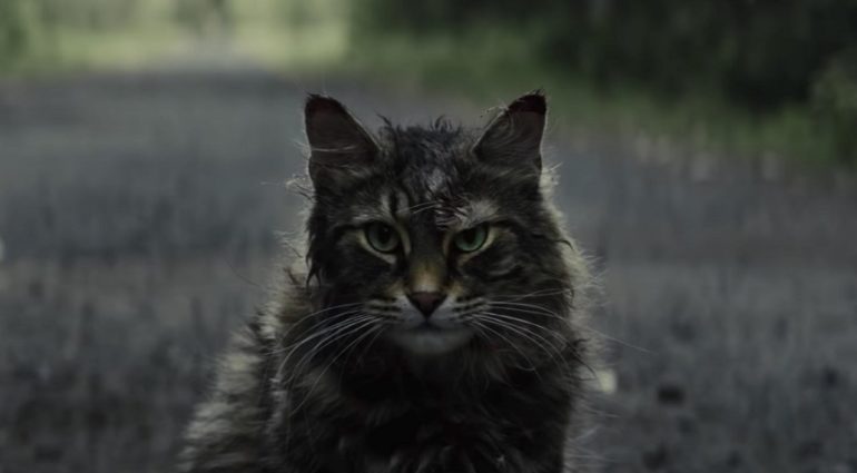 Pet Sematary Feature