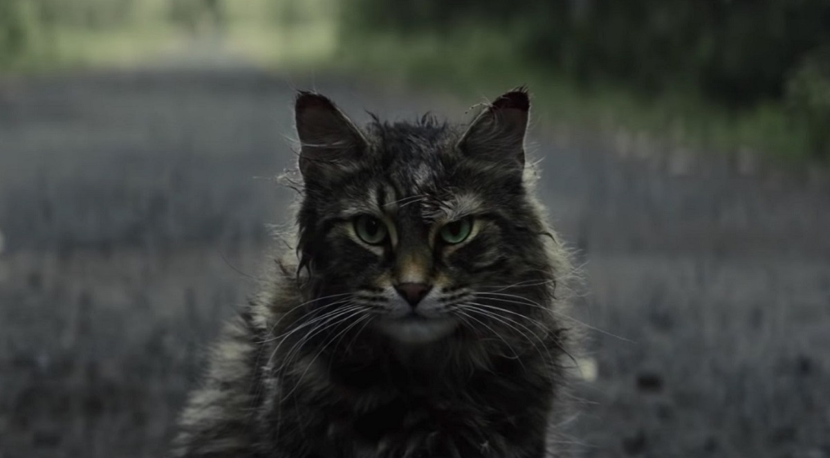 Pet Sematary Feature