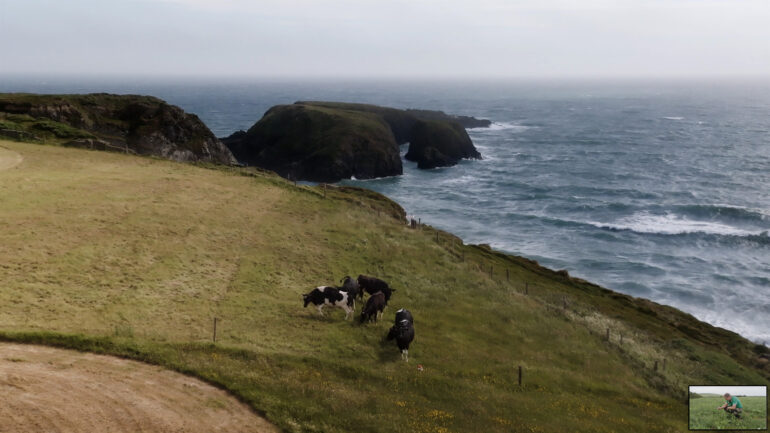 World Without Cows