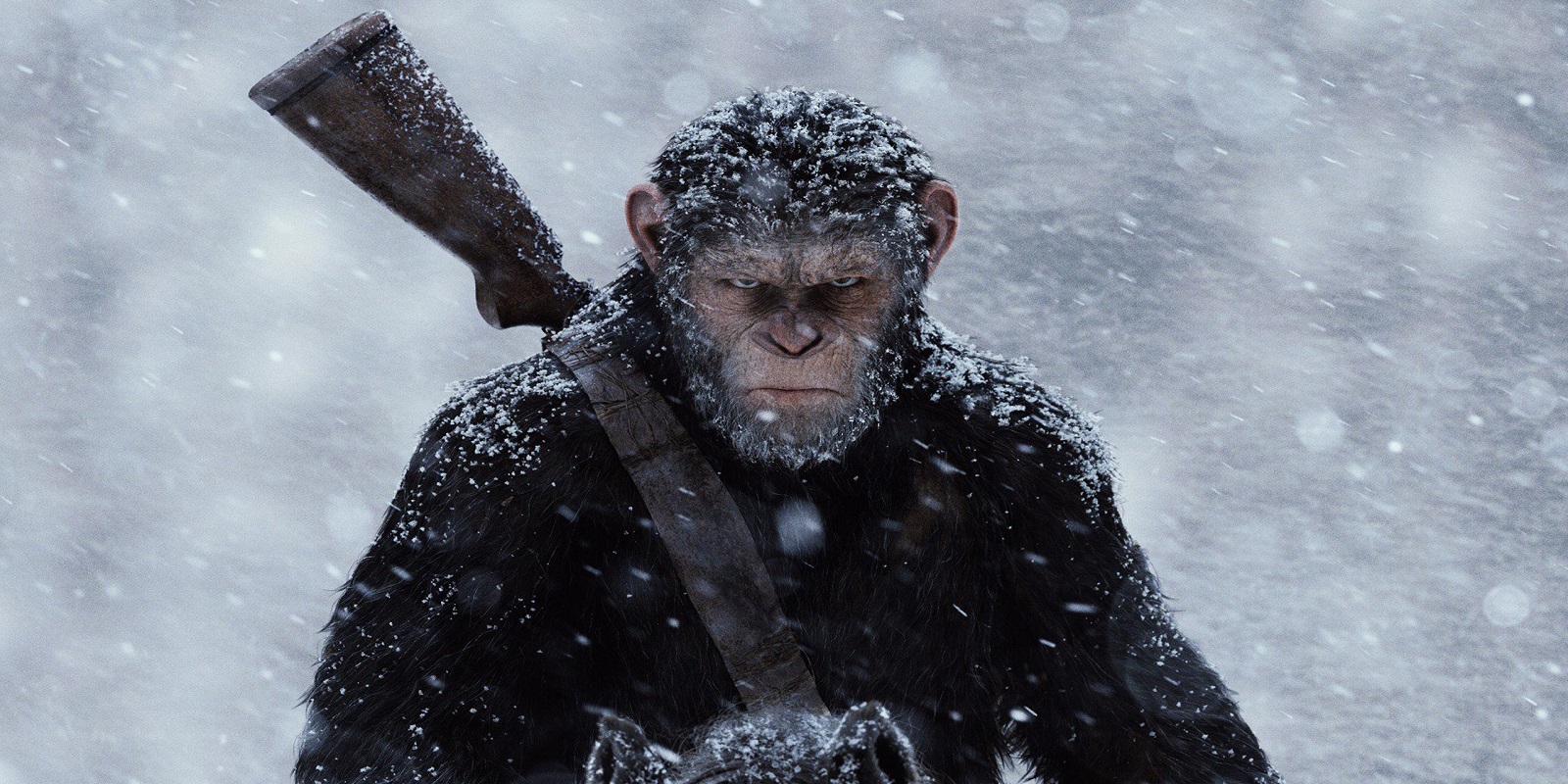 War for the Planet of the Apes Scannain Review