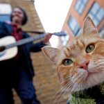 A Street Cat Named Bob