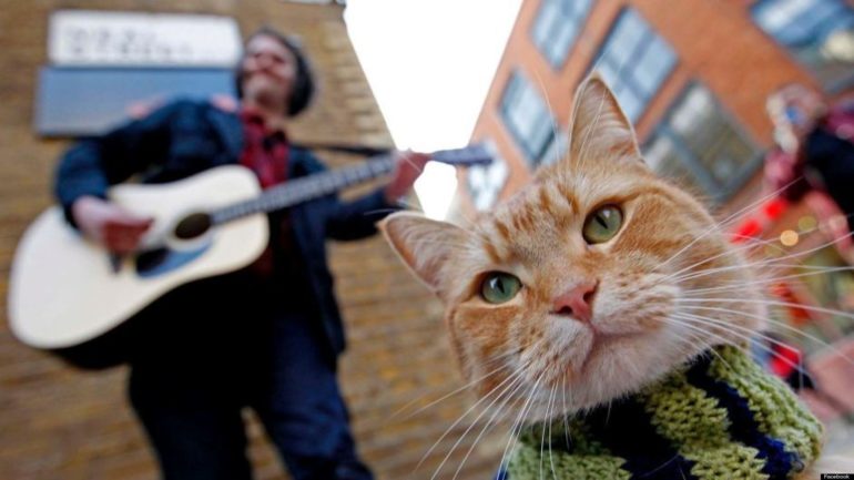 A Street Cat Named Bob