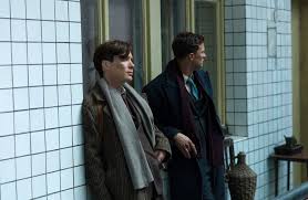 Anthropoid