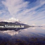 Film Mayo