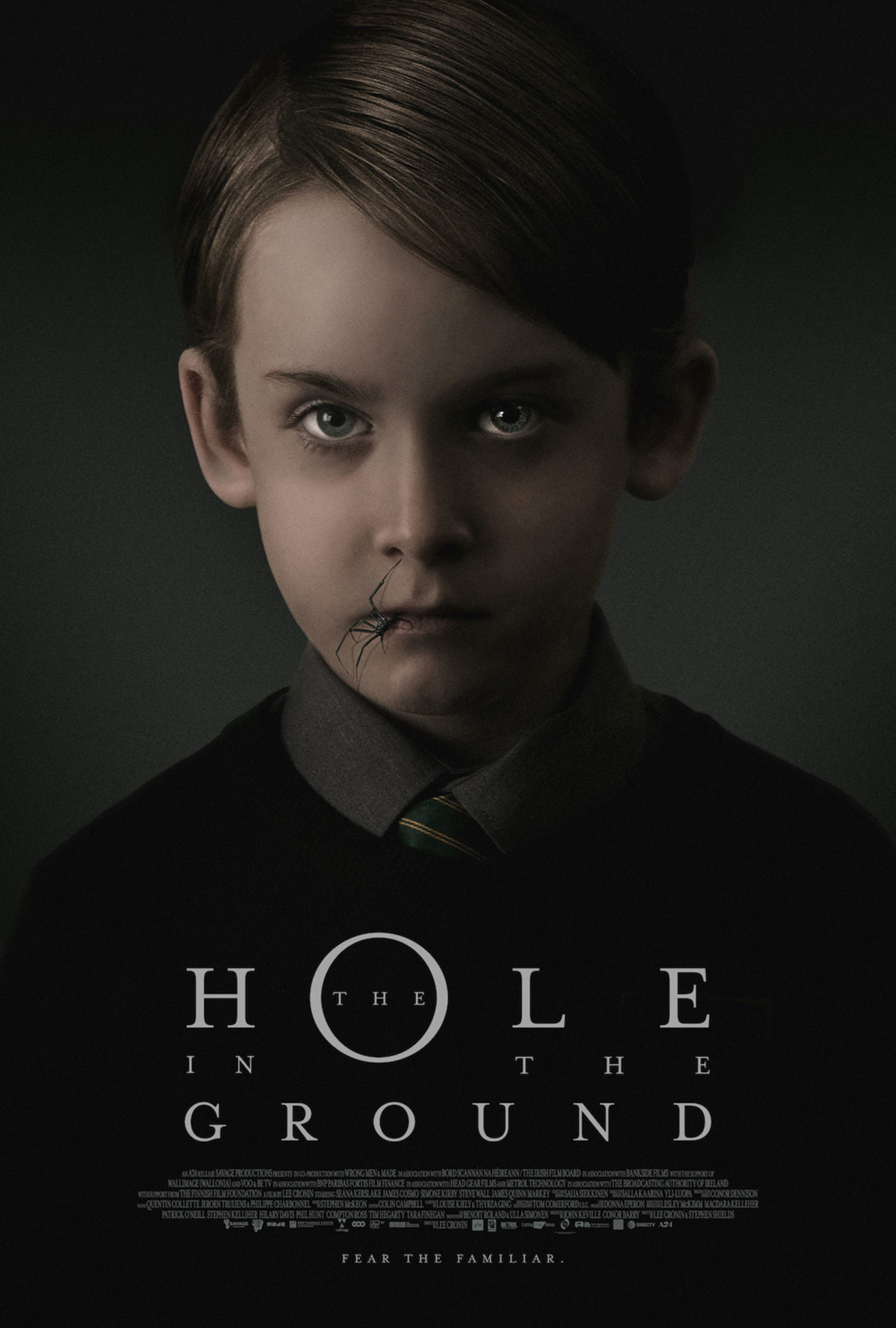 The Hole In The Ground poster