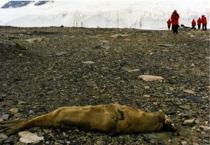 mcmurdo-dry-valleys