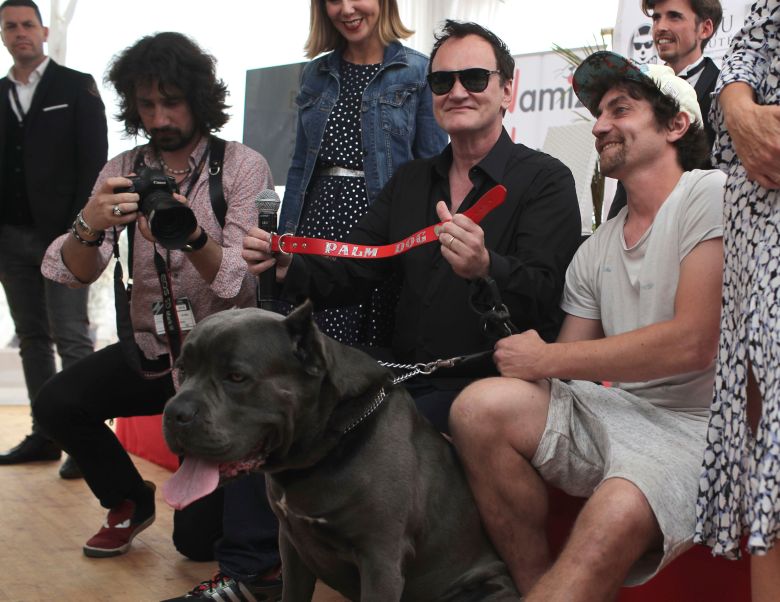 Photo by Petros Giannakouris/AP/REX/Shutterstock (10247388c) Director Quentin Tarantino poses for photographers with the Palm Dog collar award for the the dog Brandy that appeared in his film 'Once Upon a Time in Hollywood' at the 72nd international film festival, Cannes, southern France 2019 Palm Dog Photo Call, Cannes, France - 24 May 2019