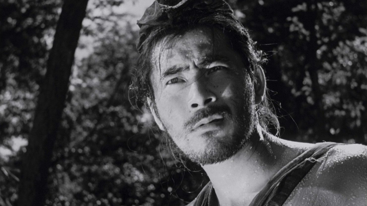 Rashomon