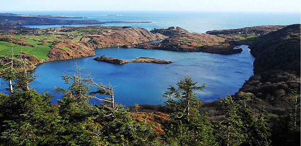 Skibbereen - Location for Float Like a Butterfly