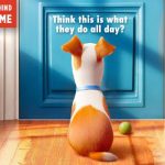 The Secret Life of Pets